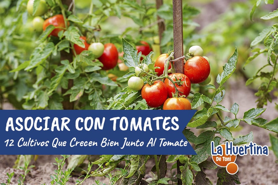 La película de guerra de Russell Crowe de 148 minutos es un clásico inmediato en Netflix