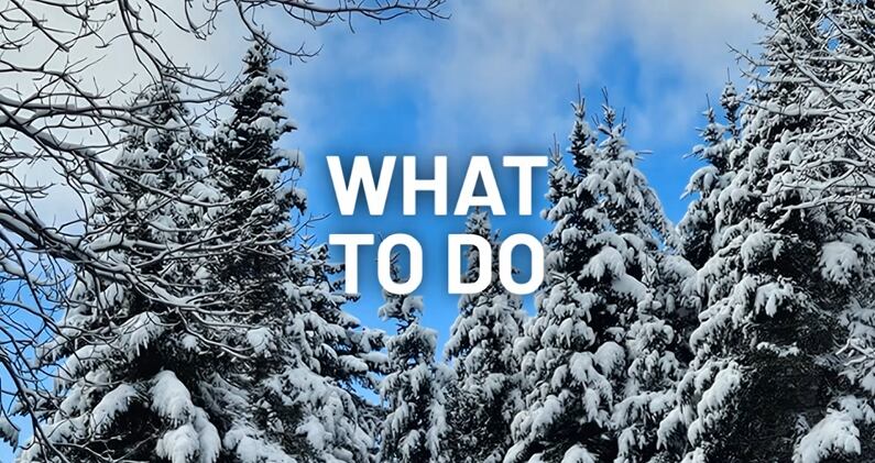 Clasificando a los nominados al mejor corto animado de 2026