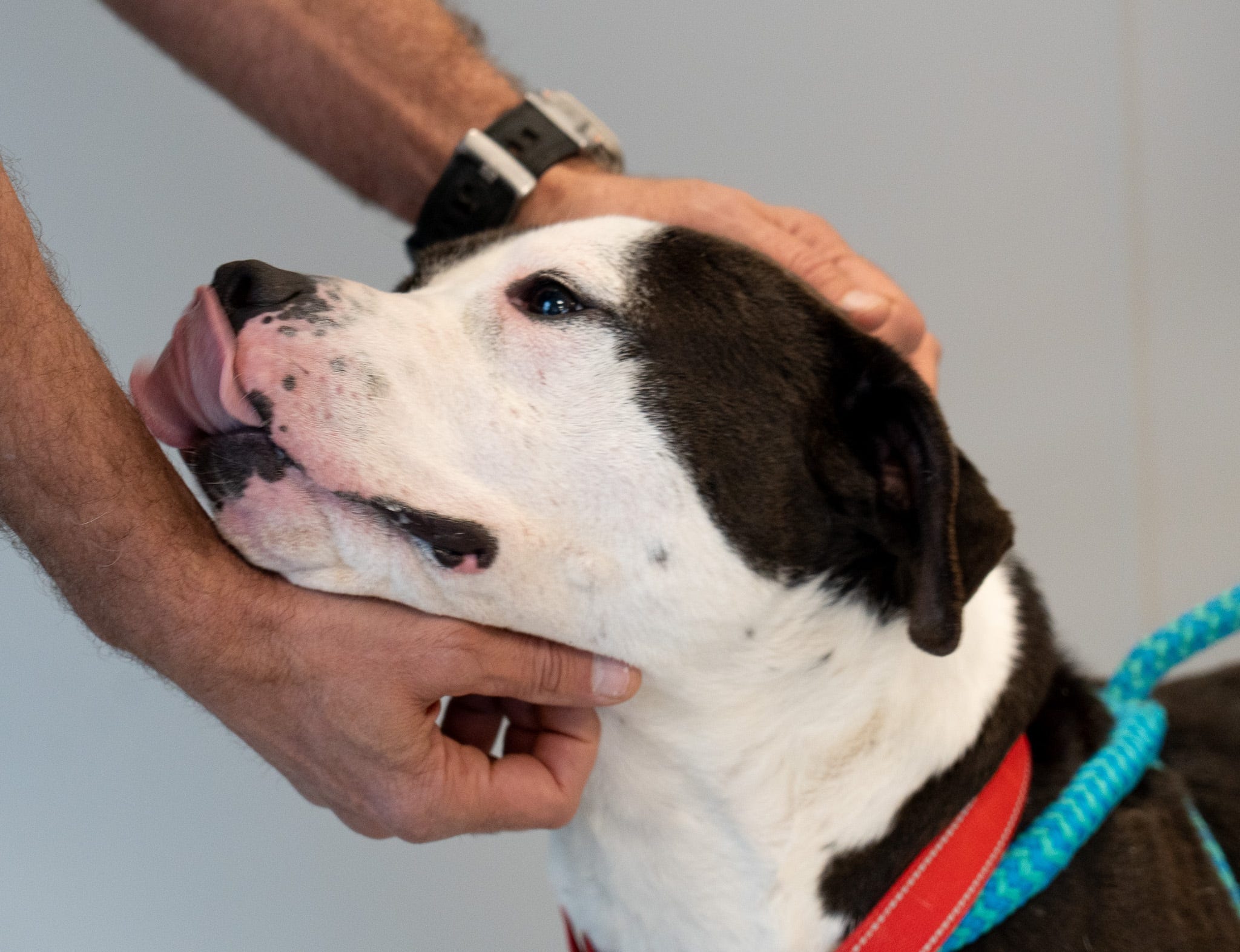 ¿Qué hace que Angels Landing en Estados Unidos sea único y peligroso?