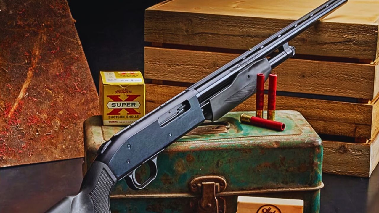 ¿Quién era Country Joe McDonald? Todo sobre el cantante veterano estadounidense que falleció a los 84 años.