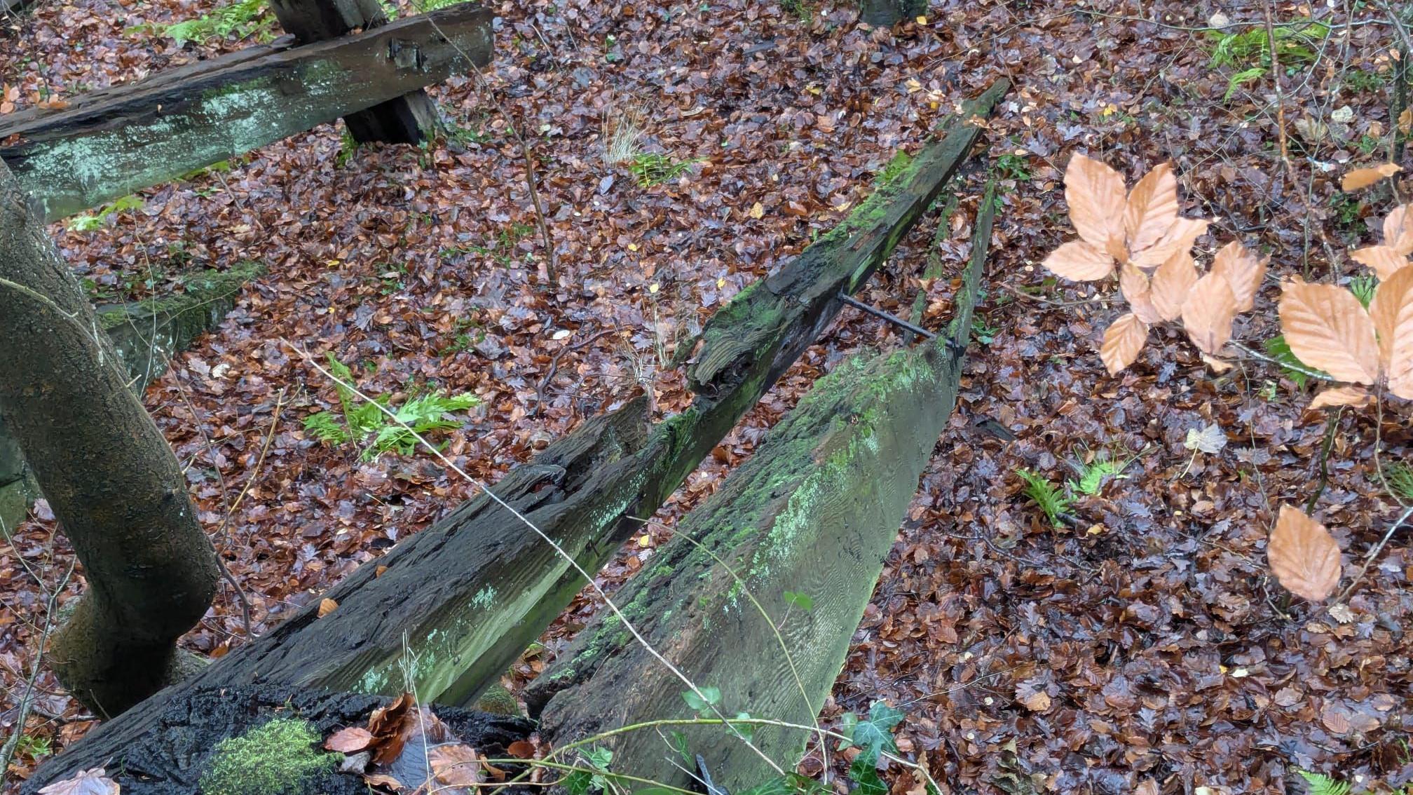 La última gran actuación de James Van Der Beek en “The Gates” me hizo recordar uno de sus roles más subestimados en la televisión.