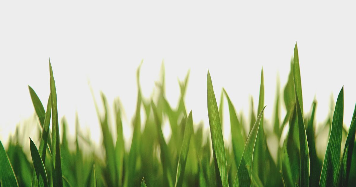 9 postres irlandeses con alcohol perfectos para el Día de San Patricio