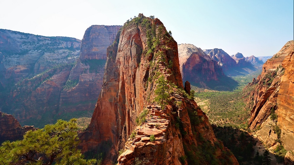 Este panadero de Filadelfia de 86 años aún cumple con su tarea cinco días por semana