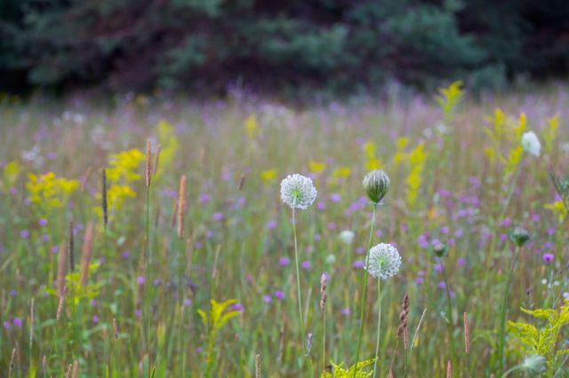 Primera película de Warner Bros. que se estrenará después del anuncio de la fusión con Paramount está destinada a perder decenas de millones