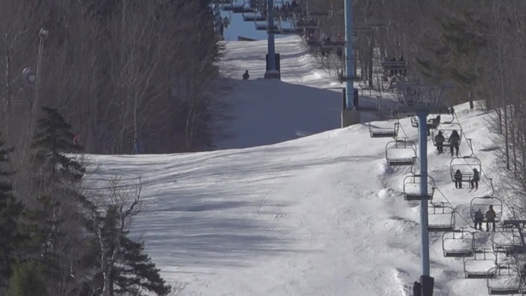 Qué hace el café en tus plantas, según los expertos